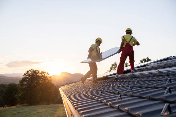 Best Skylight Installation and Repair  in Ossian, IN